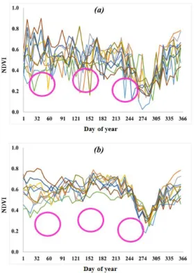 Figure  1.  Effects  of  time-series  MODIS  NDVI  correction  for  10  random  pixels  in  Indonesia  in  August  2015:  (a)  before  correction  and  (b)  after  correction