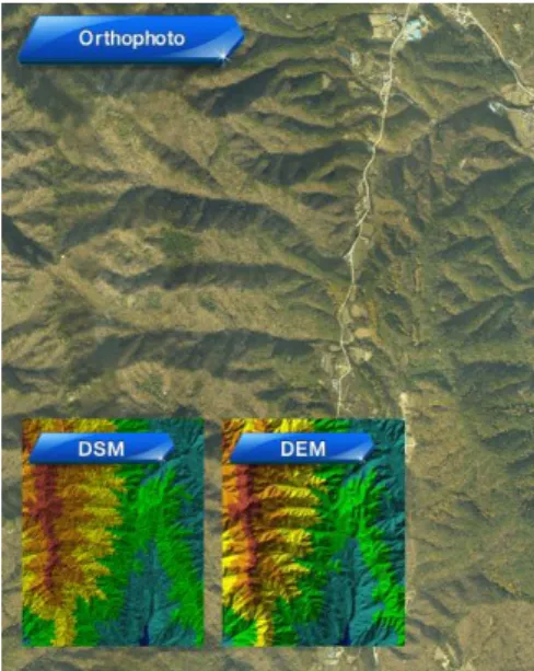 Figure  3.  Forest  damage  status