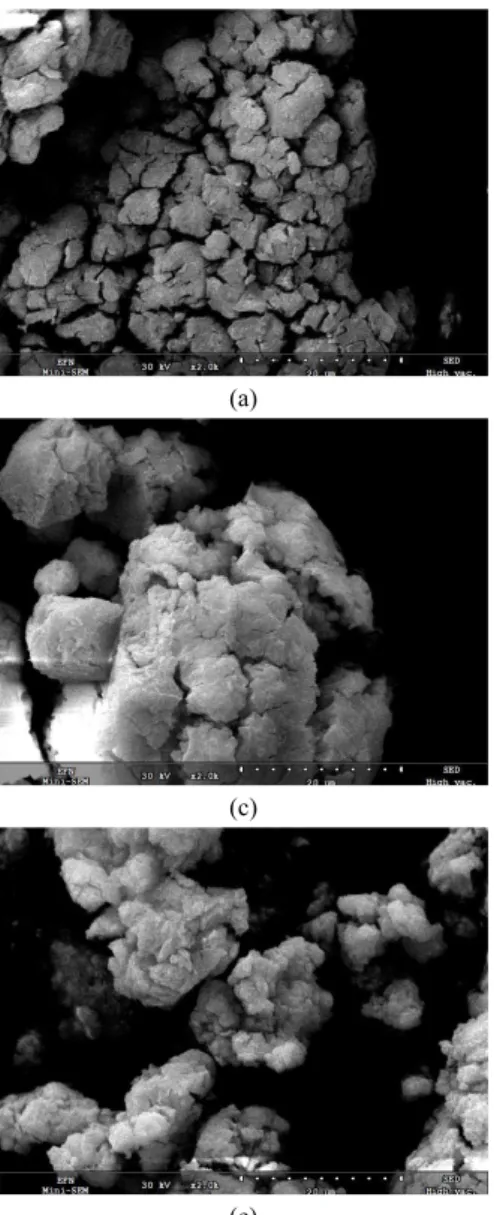 Fig. 4. SEM images of NdCl 3 ·6H 2 O decomposition for various temperature conditions (a) 135°C, (b) 150°C, (c) 190°C,  (d) 250°C, (e) 350°C, (f) 400°C