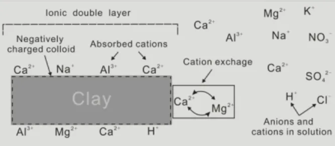 Fig. 4. A schematic look of cation exchange capacity (CEC); CEC is the capacity of clay for ion exchange of cations  between the clay and the movable fluid.
