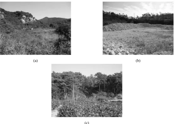 Fig. 2. View of the study area (a) Buguk abandoned mine (b) Sungsan abandoned mine (c) Younggwang abandoned mine.