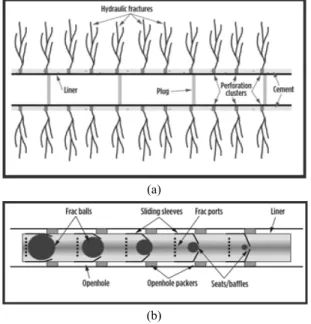 Fig. 5. Multilateral wells (a) dual lateral well (b) stacked  lateral well (Johnson and Courrege, 2010).