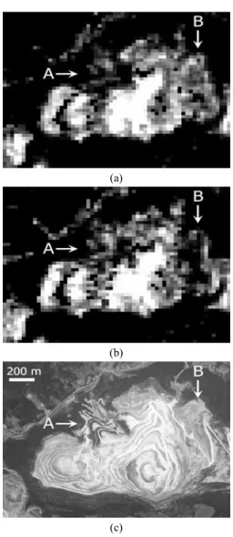 Fig. 10. Comparison between partial unmixing map and  limestone potential index map in open-pit mining site  shown in the area A of Fig
