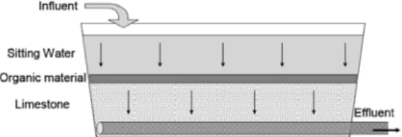 Fig. 2. Schematics of SAPS (successive alkalinity producing  system).