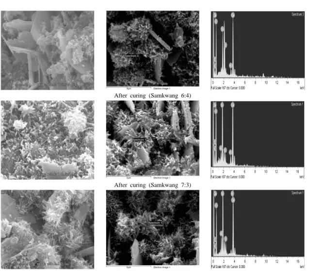 Fig. 3. SEM images and EDS spectrum of solidified specimens. Patterns in parentheses denote the mines and the mixing  ratios of cement and tailings.