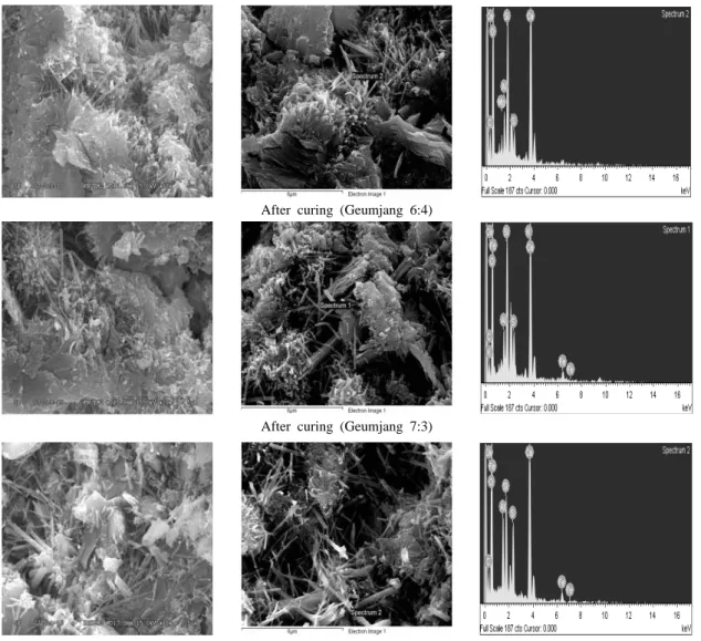 Fig. 4. SEM images and EDS spectrum of solidified specimens. Patterns in parentheses denote the mines and the mixing  ratios of cement and tailings