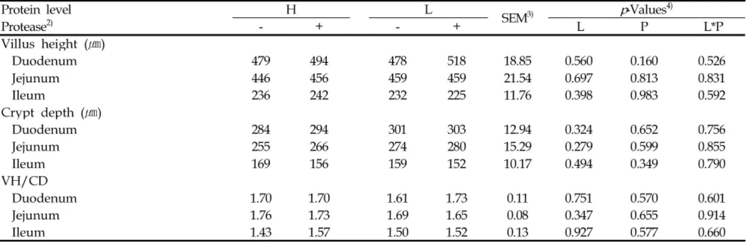 Table 5. Effect of dietary protein levels and protease supplementation on small intestinal morphology in weanling pigs (d 28) 1)