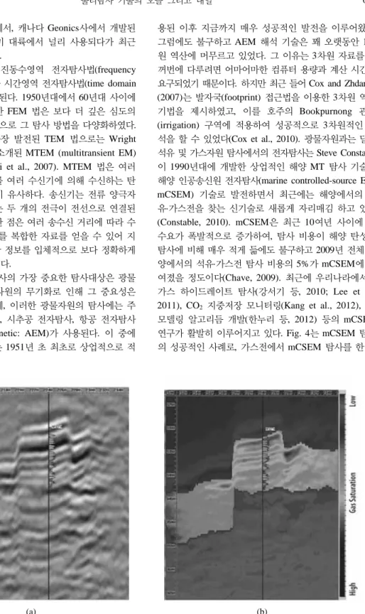 Fig. 4. (a) Near angle stack of the seismic data, with the gas volume (porosity times gas saturation) log superimposed