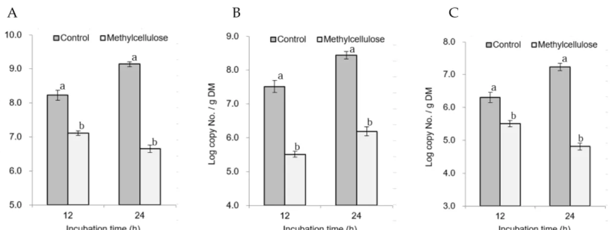 Fig. 6. The attachment populations of F. succinogenes (A), R. flavefaciens (B) and R. albus (C) on rice straw by methylcellulose treatments.