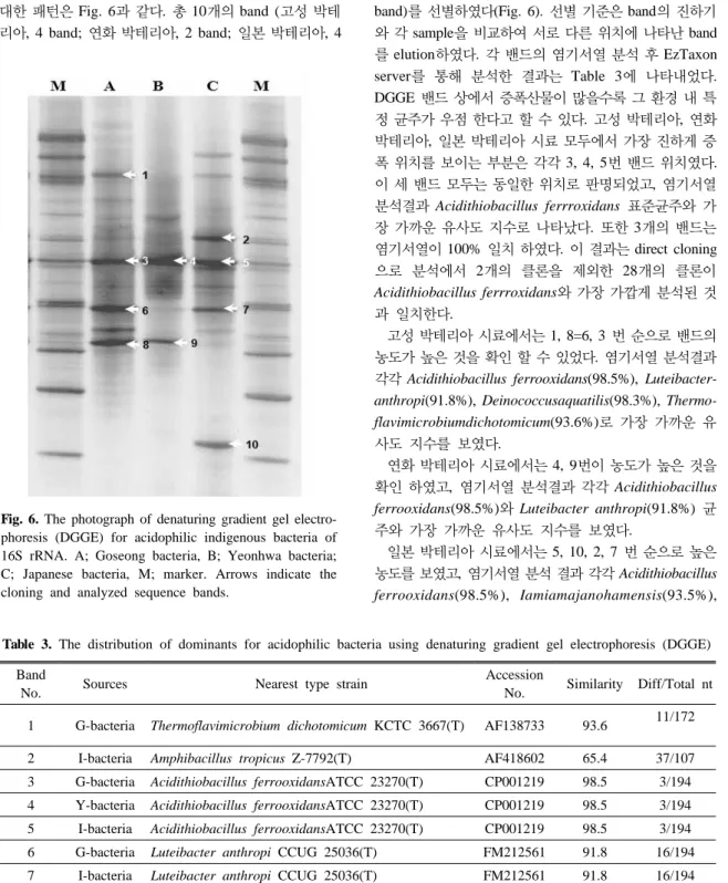 Table 3. The distribution of dominants for acidophilic bacteria using denaturing gradient gel electrophoresis (DGGE) Band