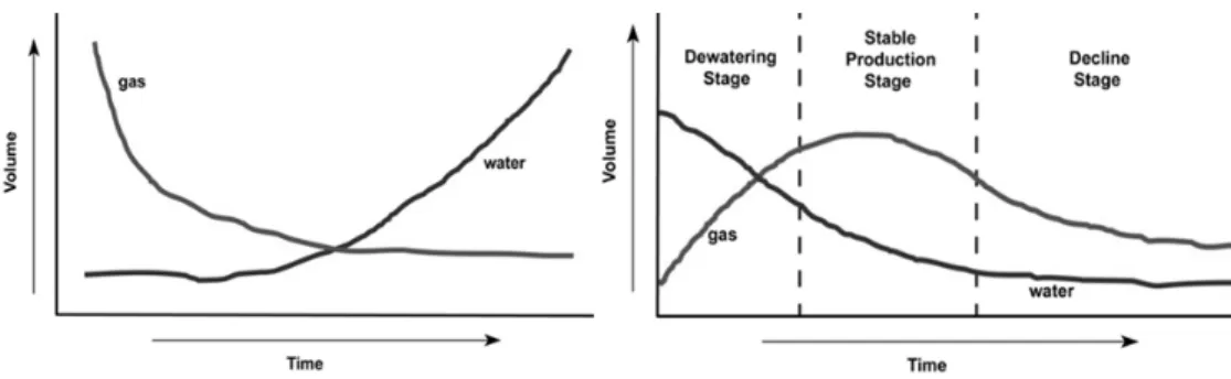 Fig. 10. Schematic drawing of CO 2 -ECBM (ETH Zurich, 2011).