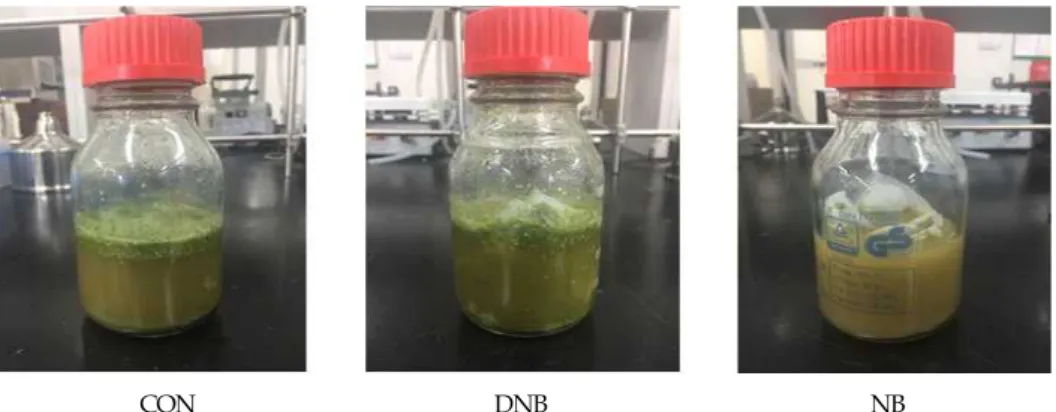 Fig. 1. Description of each treatments used in vitro fermentation experiment.