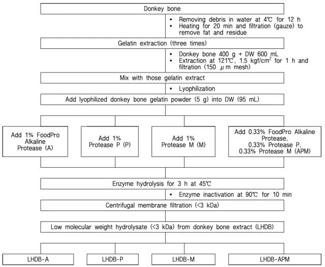 Fig. 1. Preparation procedure of low molecular weight hydrolysate from donkey bone extracts.
