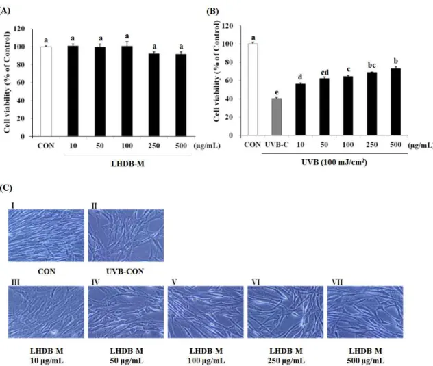 Fig. 3. Effects of different concentration of LHDB-M on Hs68 cell cytotoxicity (A), viability (B), and morphology (C) after UVB irradiation.