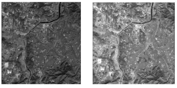 Table  1.  Specifications  of  satellite  images TerraSAR-X  for  InSAR TerraSAR-X  for  radargrammetry  and  RPC Reference