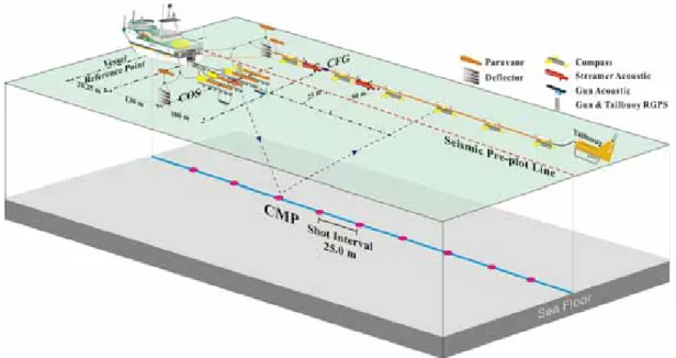 Fig. 3. Layout of 2-D seismic survey.