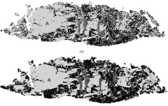 Fig. 8. Joint set classification of point cloud. Search distance is (a) 5 cm, (b) 10 cm.