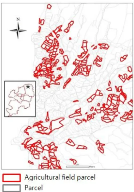 Figure 1. Study area(Field Parcel in  Sinyoung-dong,  Dong-gu,  Daegu Metropolitan city)