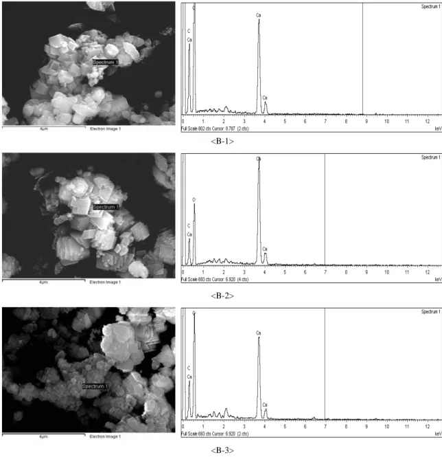 Fig. 11. SEM analysis of tailings-hydrated lime mixture after mineral carbonation.