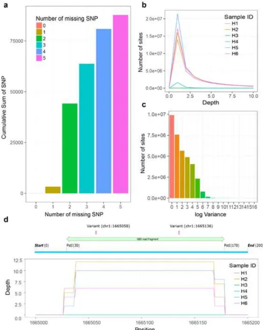 Fig. 3. Re-sequencing analysis result. a) Number of SNP corresponding to the number of missing