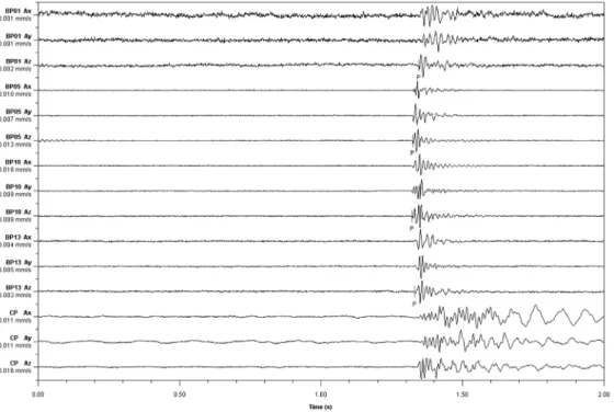 Fig. 10. Recorded seismic data by seismic source of borehole BP-9.
