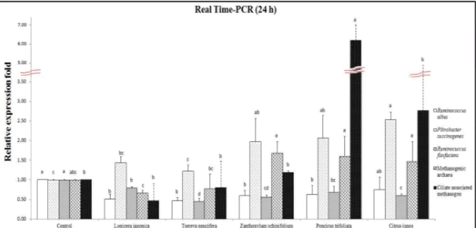 Fig. 2. Relative quantification analysis of microbial populations in vitro ruminal fermentation by the addition of different antiprotozoal plant extracts at 24 h incubation (Control, no addition; Lonicera japonica ; Torreya nucifera; Zanthoxylum schinifoli