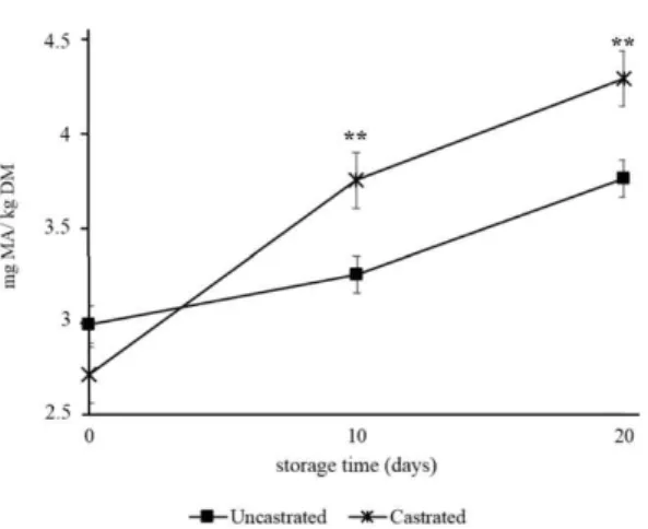 Fig. 2. Effects of castration on TBARS (mg MA/kg dry matter) of semi-dried venison jerky during storage at room temperature (24 ℃ )