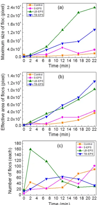 Fig. 5. Results of floc analysis parameters. (a) The maximum size of floc of microalgae by flocculation at different time, (b) The effective area of flocs of microalgae formed by flocculation at different time, (c) The number of flocs of microalgae by floc