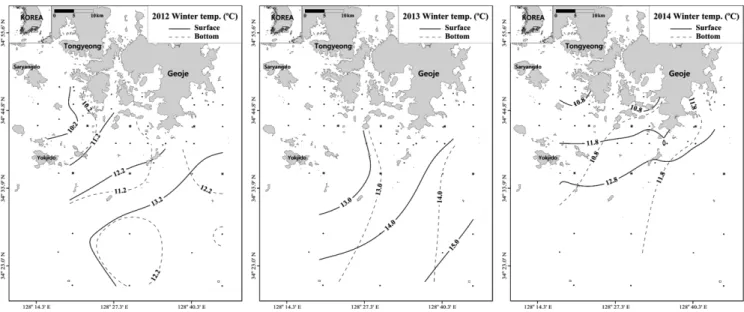 Fig. 8. Horizontal temperature distribution at the surface and bottom layers in the winter.