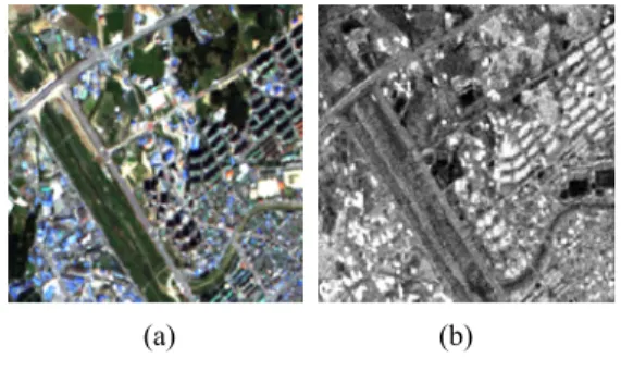 Figure 4. 1st example of additional band: (a) RGB  composite of Rapideye, (b)       image