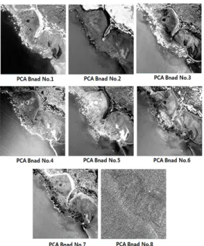 Figure 10. Image of each PCA band