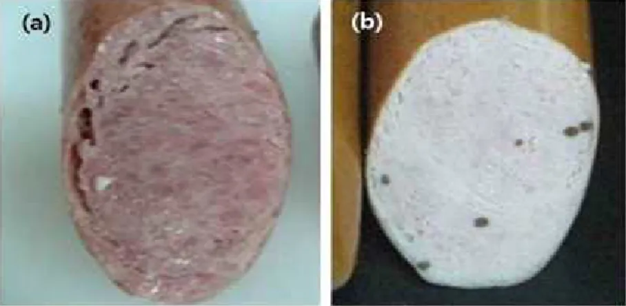 Fig. 1. Press ham with fruit peels powder (a) or fruit peels encapsulation (b).