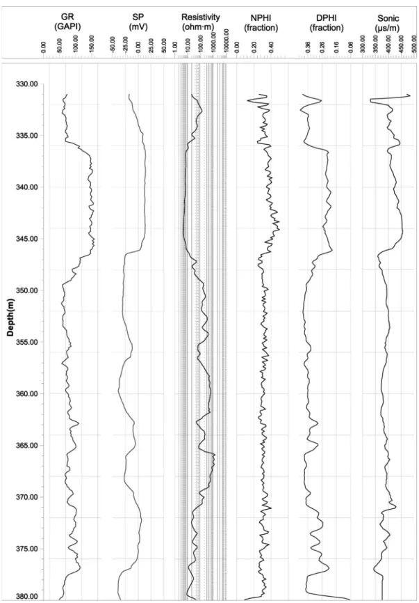 Fig. 2. Well logs from Leismer field in Alberta, Canada.