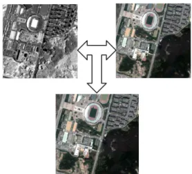 Figure  2.  The  study  area
