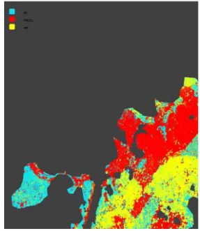 Figure  5.  Map  of  forest  type
