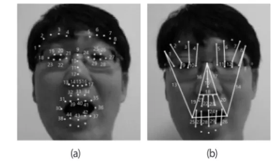 Fig. 2 illustrates 29 connecting lines for six basic emotion  classes (i.e., Anger, Disgust, Fear, Happy, Sad, and Surprise)