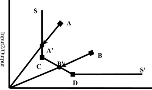 Fig. 1. Efficiency Measurement and Input Slacks (Coelli,  2004).