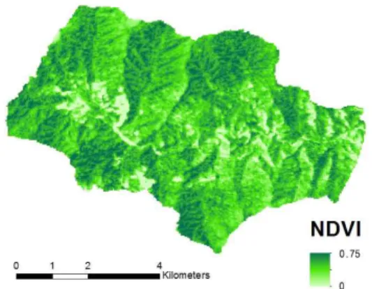 Figure  2.  NDVI  map  of  experimental  area