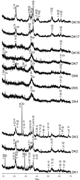Fig. 8. SEM image of the rod-shaped bacteria in the growth-  medium (4th subculture, pH=2.06, Eh=481 mV)