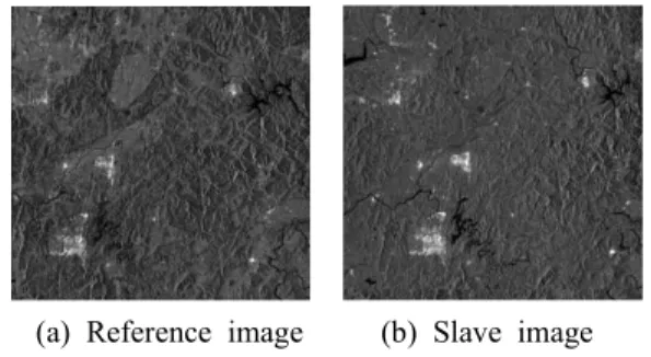 Figure  6.  RADARSAT-1  subset  image 