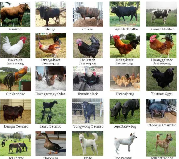 Fig. 2. Names and images of the major breeds registered in DAD-IS
