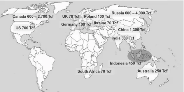 Fig. 5. World CBM resources (after Craig Stewart).