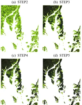 Figure 2. Distribution of objects by object oriented  change detection by RED bands steps –  Eumseong(065)