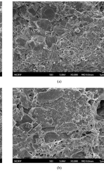 Fig. 11. SEM photographs of the basalt samples: (a)  weathered in dry condition, (b) weathered in wet condition.