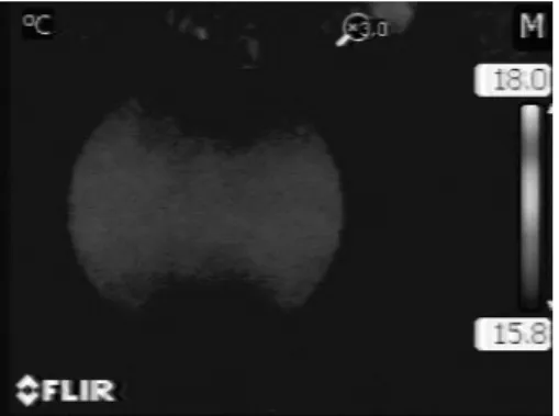 Fig. 7. Temperature variation of specimen after Brazilian  test. 측정한 시편별 온도상승폭은 시편의 강도와 비교해보면  직접적인 상관성은 없고,  하중이 파괴강도의 근접하거나  파괴  직전에  관찰된  온도상승현상이기  때문에(Fig