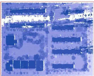 Figure  4.  Automatic  process  of  tree  extraction 