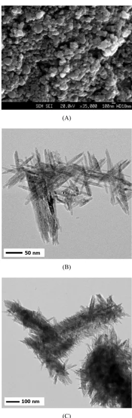 Fig. 7. Micrographs of as-synthesized TiO 2 . SEM image: 