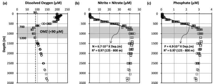 Fig. 6. Vertical profiles of (a) dissolved oxygen, (b) nitrite + nitrate, and (c) phosphate at the sampling sites.