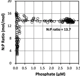 Fig. 8. Vertical profiles of chlorophyll-a at the sampling sites (MLD: