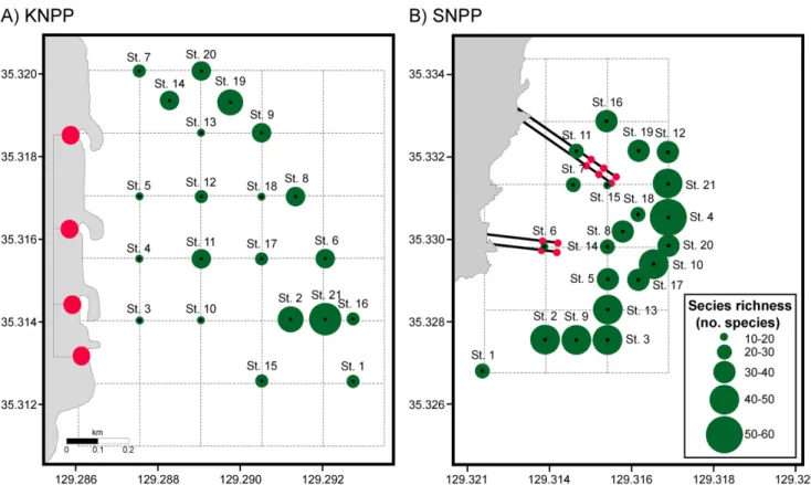 Fig. 3. Spatial distributions of species richness (species 0.2 m -2 ) at the thermal effluent discharge areas of Kori Nuclear Power Plant (KNPP) (A) and Sinkori Nuclear Power Plant (SNPP) (B).